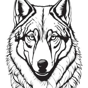 Meet your Posher, Bella